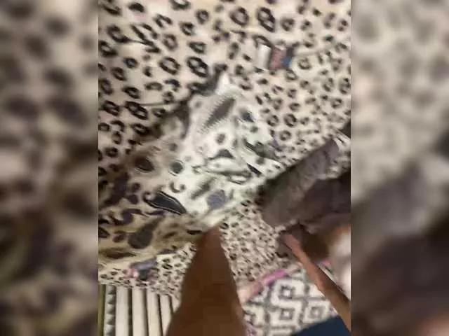 Offline blackfriend18 on BongaCams