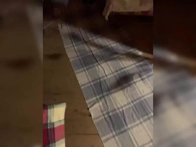 Offline Chemezoff on BongaCams