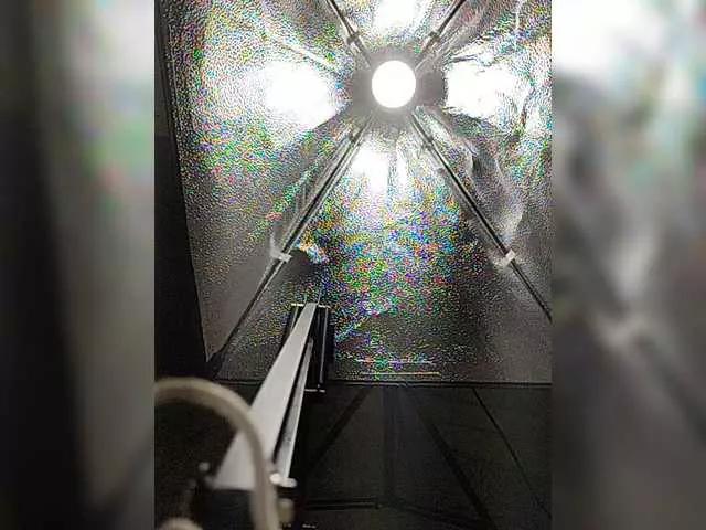 Offline CinnamonGirl on BongaCams