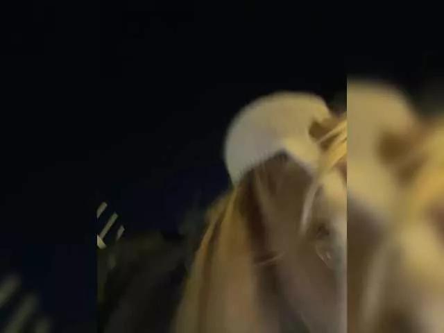 Freechat elegantbabe on BongaCams