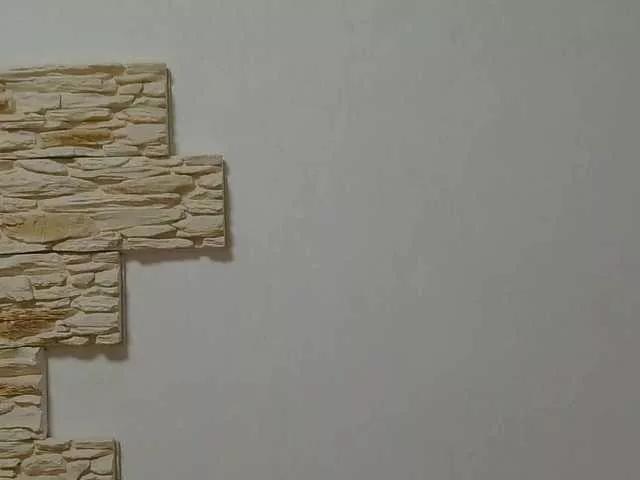 Evochka21 on BongaCams 