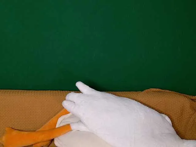 jane-booblegum on BongaCams