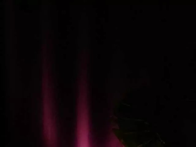 Offline KarsynJayde on BongaCams