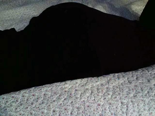 Offline liZAAAZ on BongaCams