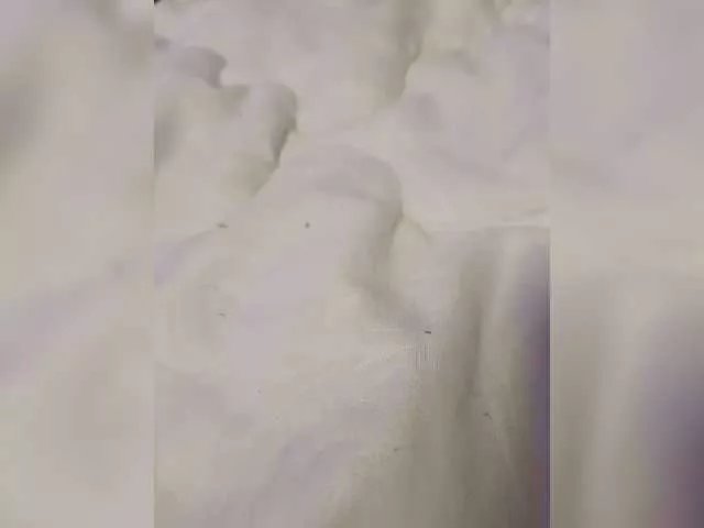 Offline Love-for-two on BongaCams