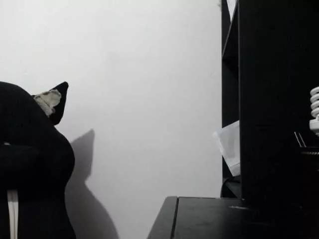 Freechat melanyissabel on BongaCams