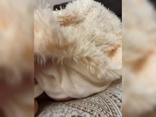 Freechat Neznost on BongaCams