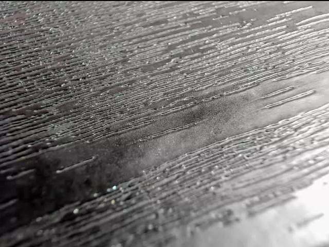 Offline sashsapety on BongaCams