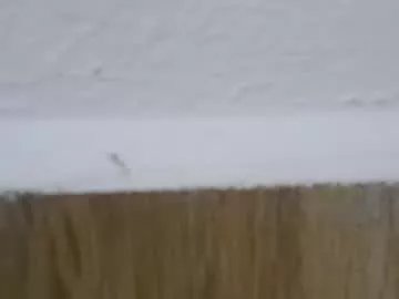 Freechat sunshine_days on Chaturbate