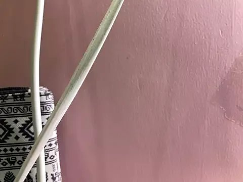 Freechat Fantastic_ruby on StripChat