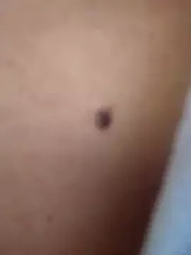 Freechat Katalina_S3xy on StripChat