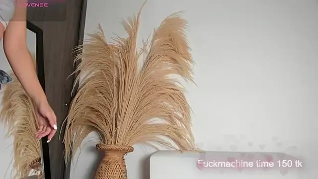 Freechat Noami_Rose on StripChat