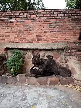 Gorgeous Sweet_outdoor_charm wants you to fuck their body now sweet_outdoor_charm from StripChat