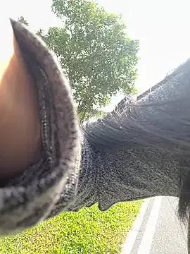 Join Winona88, she wants to masturbate for you Winona88 from StripChat