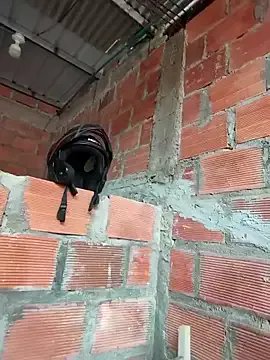 Freechat Zoe_Sweett18 on StripChat